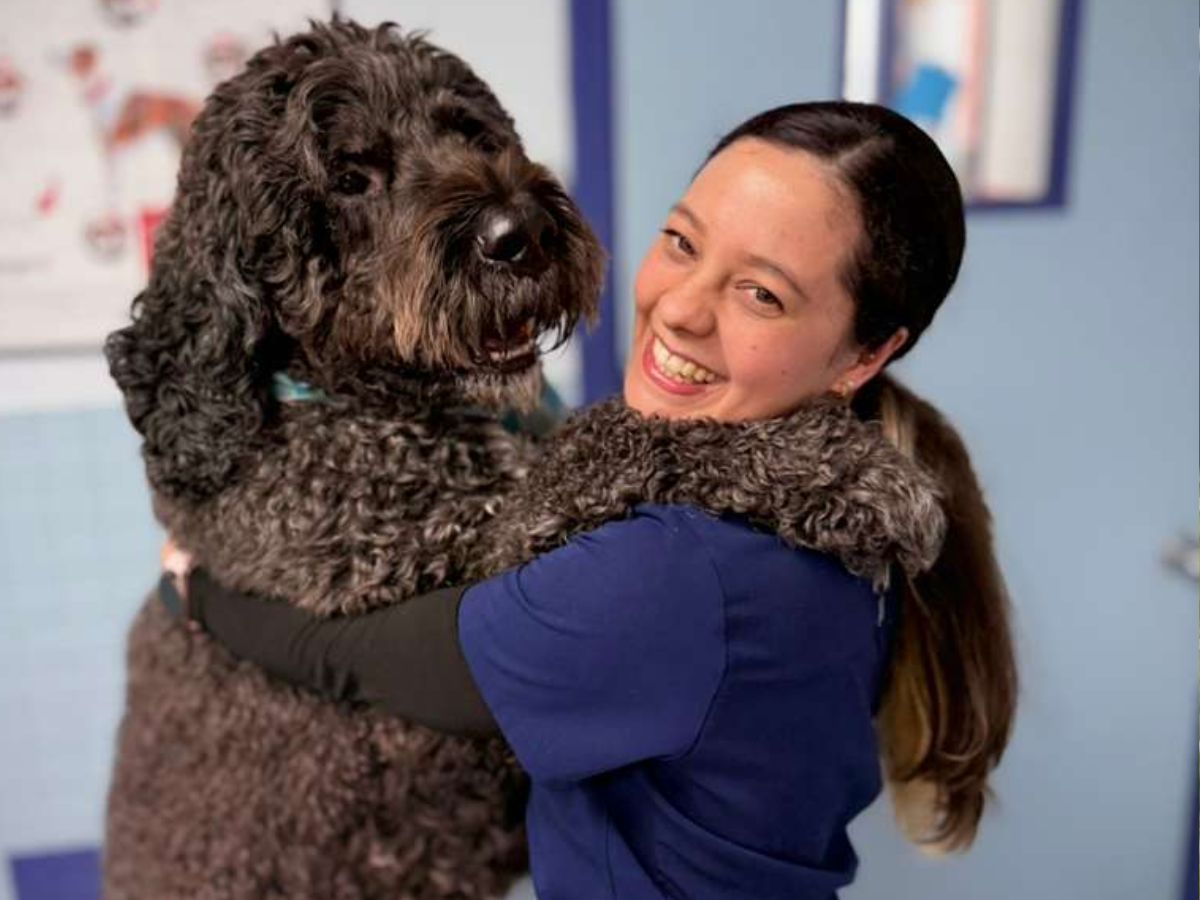 A person in blue scrubs hugs a large, dark curly dog