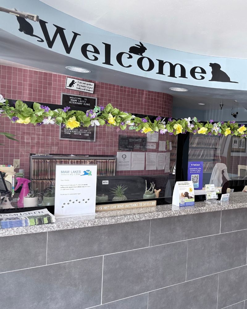 Veterinary clinic reception desk