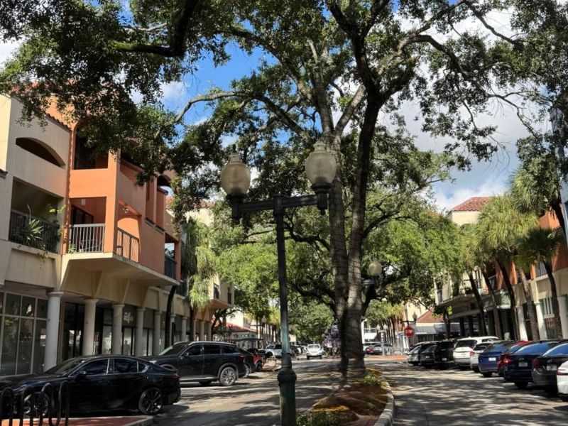 street cars trees buildings street cars trees buildings